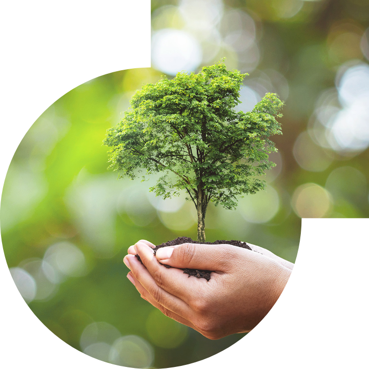 关怀人类、文化、环境与社会